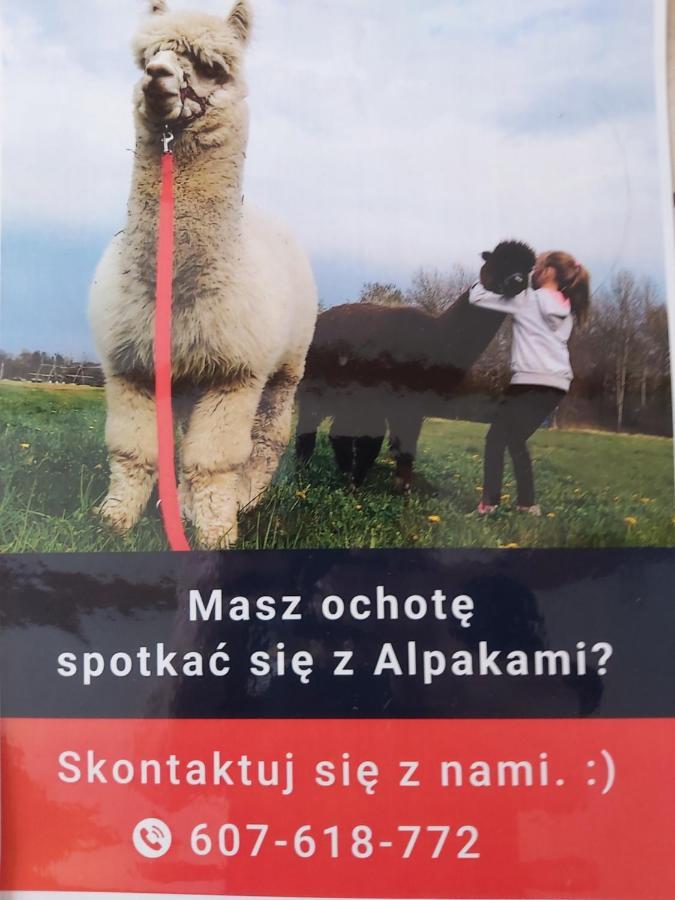 Apartamenty Smaczek Gołdap Eksteriør billede